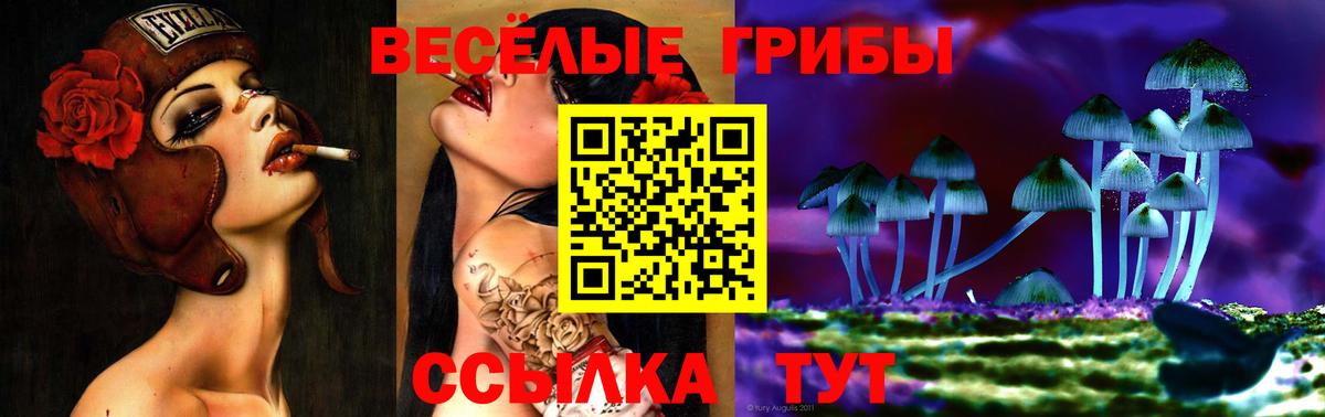 Галлюциногенные грибы прущие грибы Миллерово