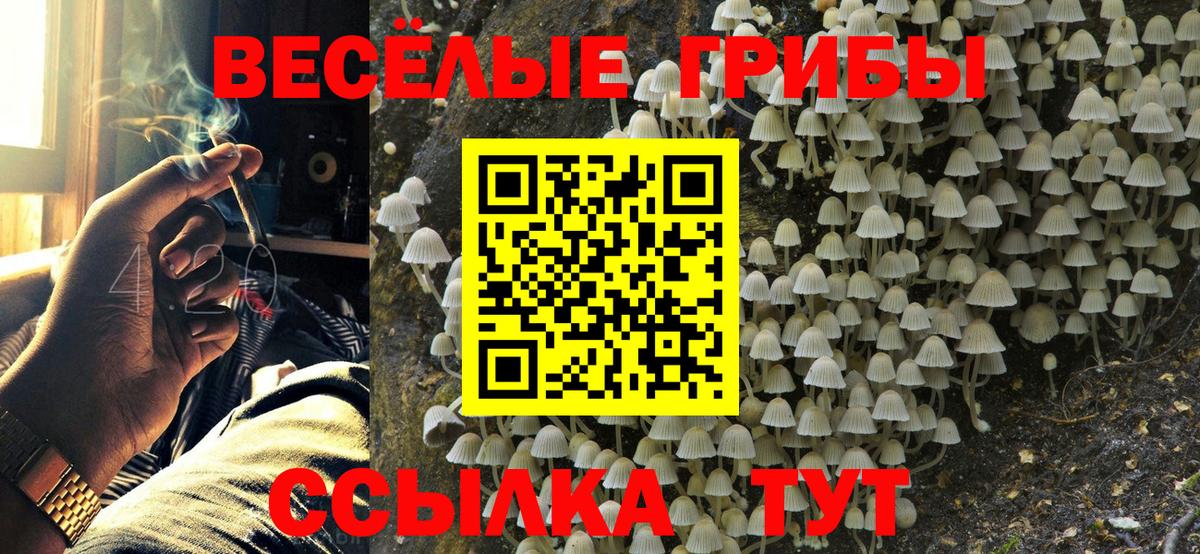 Миллерово  Галлюциногенные грибы Psilocybine cubensis  где можно купить наркотик  Псилоцибиновые грибы мухоморы  Вход с VPN 
